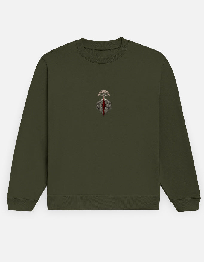 Front_1_c_41.jpg